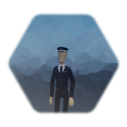 Police Superintendent