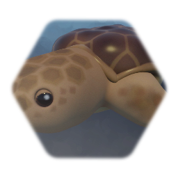 Loggerhead Sea Turtle