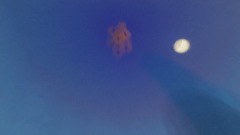 A screenshot taken in Dreams. 17 of 17.