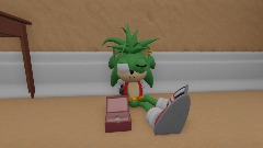 AY | Sonic and Amy Rose Bedroom