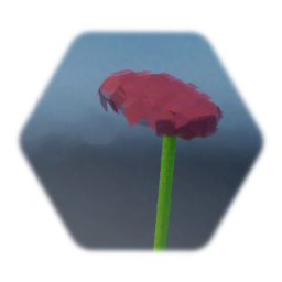 Pink Pom (Flower)