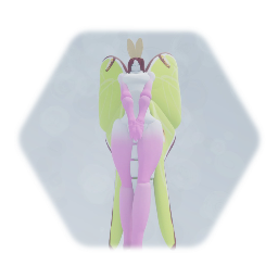 Moths and where u can find them