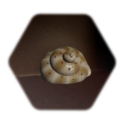 Cabinet of Curiosities Collection