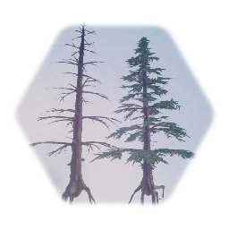 TREE - PINE