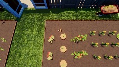 Guinea Pig Garden (Day) 25s