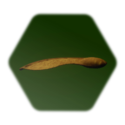 Sycamore seed (Helicopter seed)