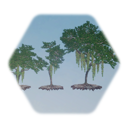 Moreton Bay Fig