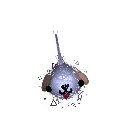 Dog_bears