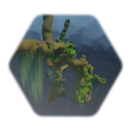 Twistly knarled oak trees