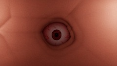 I Spy with my Little Eye