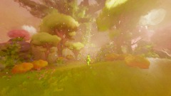 Naturus