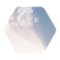 car in the sunny day