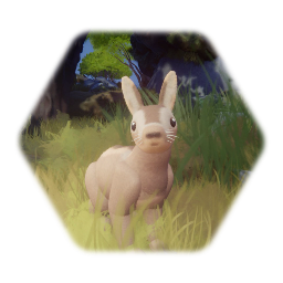 The Hare