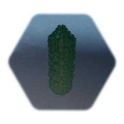 Bush