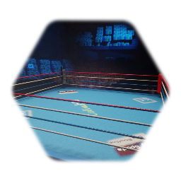 Boxing Arena