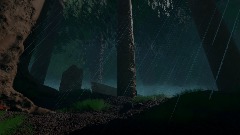 A Forest in the Rain