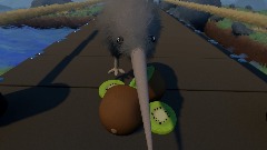 Kiwi's dilemma (full movie)