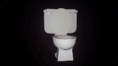 Polish toilet spin