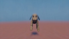 What the dog doin