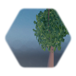 Tree 1