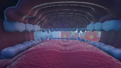 Belly of the Beast (Simplified)