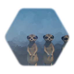 Suricate