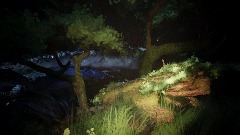 The Forest of "NOPE"