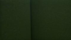 Happy Australian day from sega & miraculous characters short