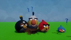 Angry birds