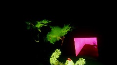 Abandon Montys gator golf