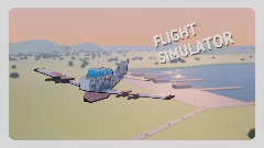 FLIGHT SIMULATOR