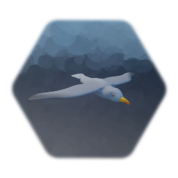 Seagull
