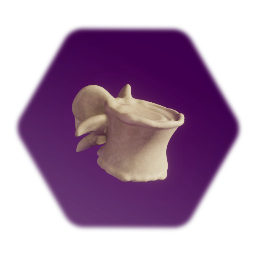 Vertebra