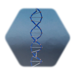 DNA