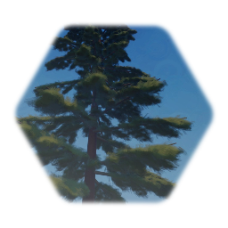 Pine tree