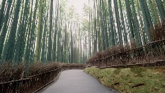 A screenshot taken in Dreams. 7 of 29.