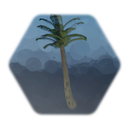 Palm Tree
