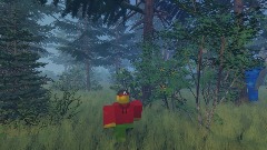 AY/Foxymations