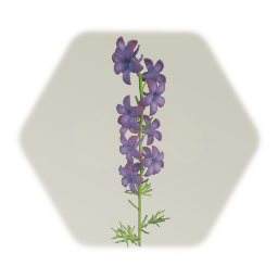 Larkspur