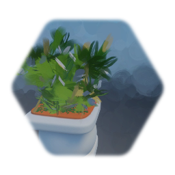 Potted plant 2