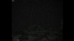 Arv.Woodcam2