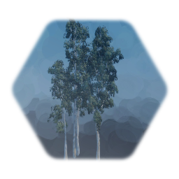 Eucalyptus