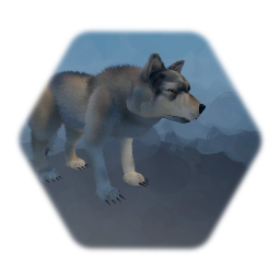 Wolf