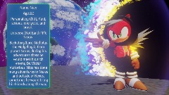 Order 666: Infinite War: Nico the Hedgehog