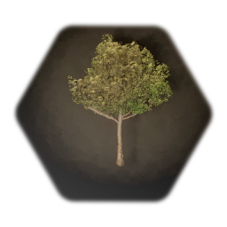 Animeboy0021's Bradford pear tree, one sculpt edition