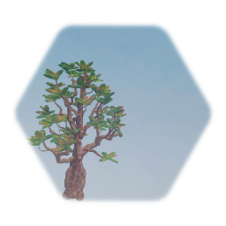 Jade Tree