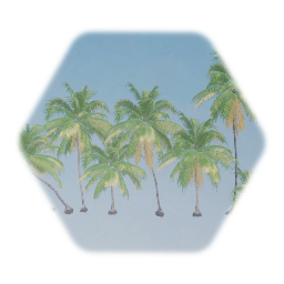 Maya Coconut Palm Tree Swaying
