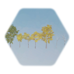 Honey Locust (Group)