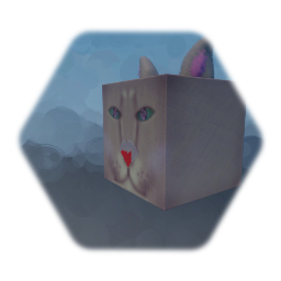 BINGUS CUBE