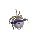 LeoBanjo31